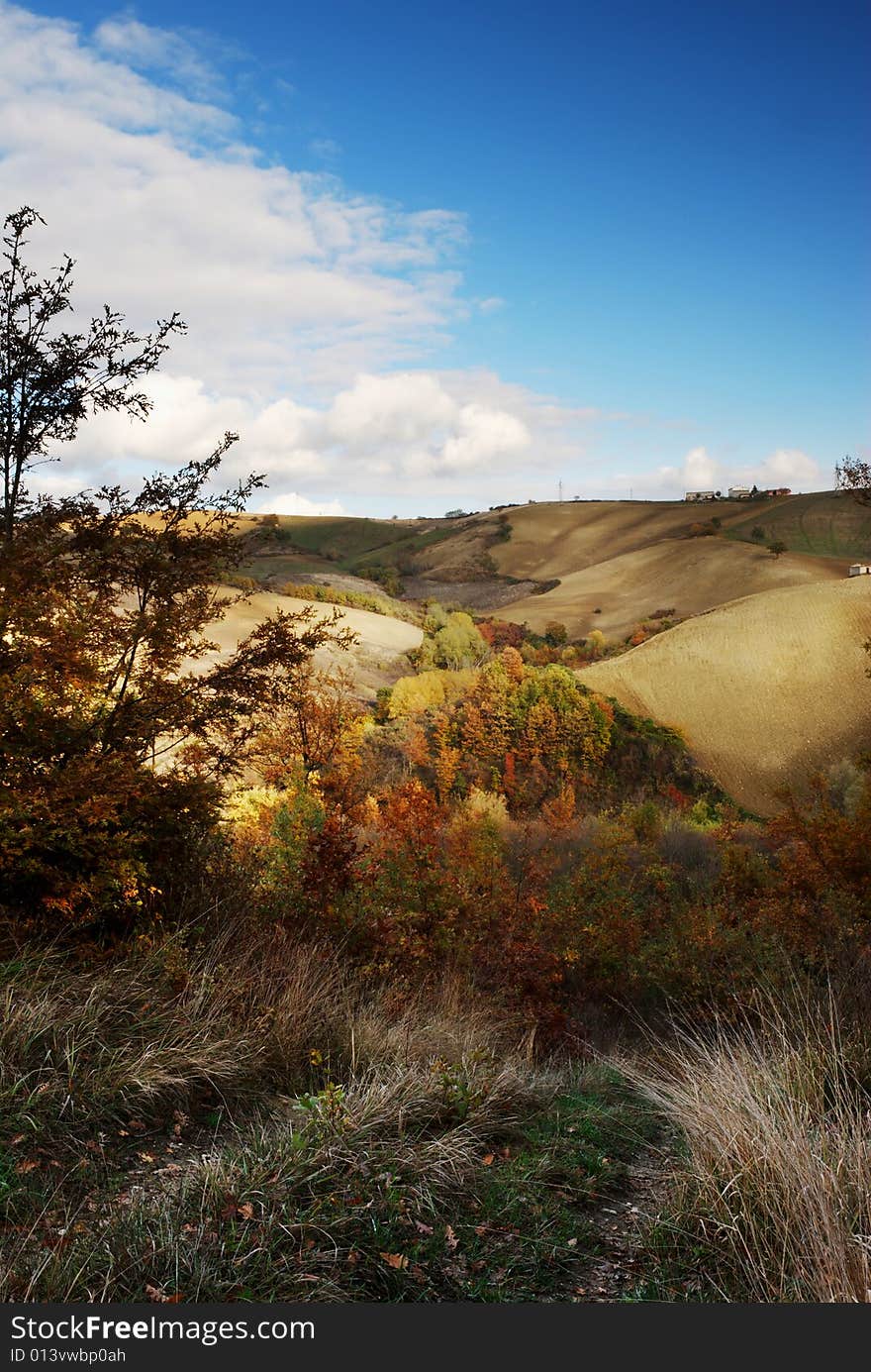 Landscape with fall colors over the hills. Landscape with fall colors over the hills