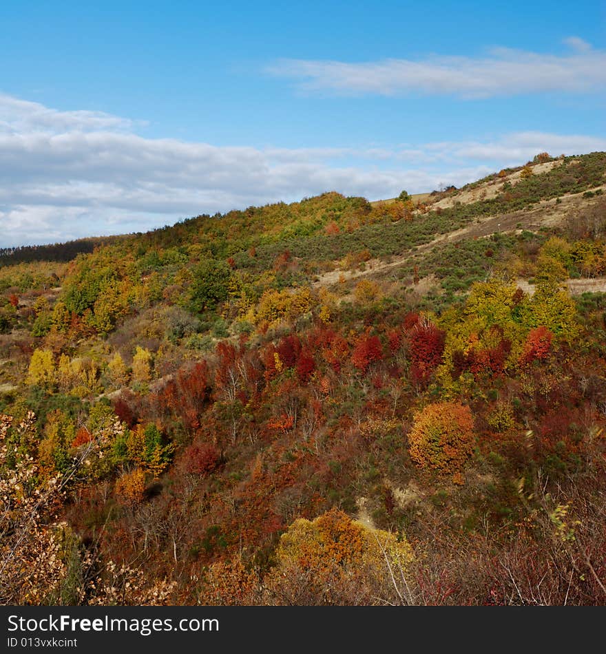 Autumn colors on hills