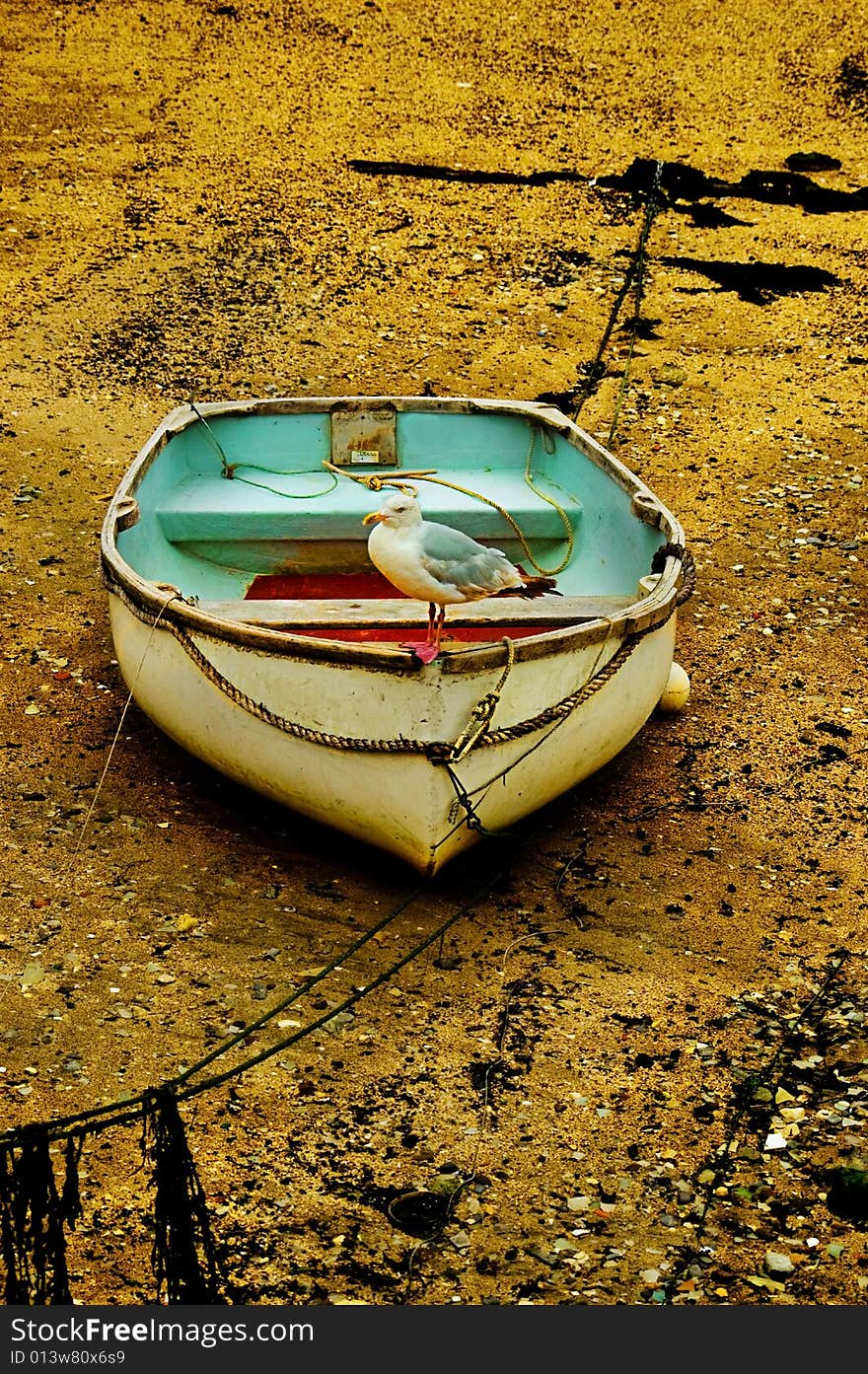 Contrasty image of a very old boat with a seagull sitting at the front. Contrasty image of a very old boat with a seagull sitting at the front.