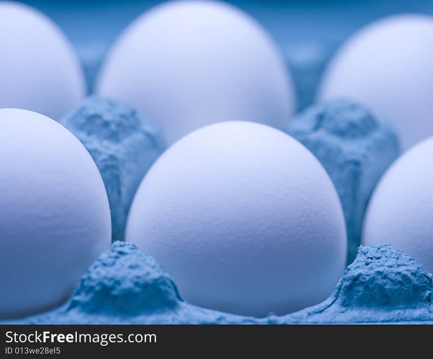 Eggs on a Tray in Blue Cast