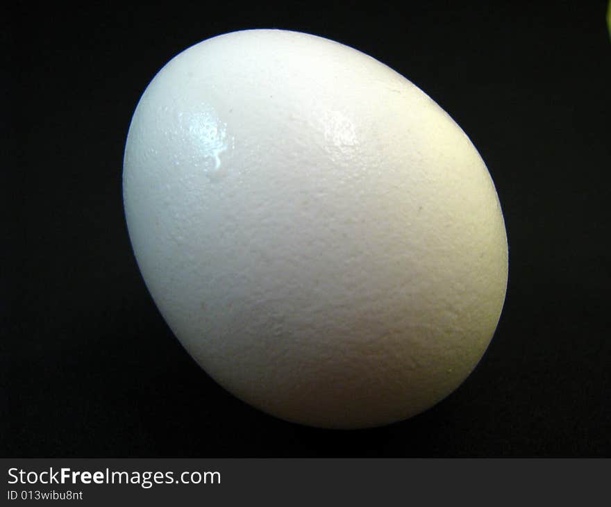 Egg