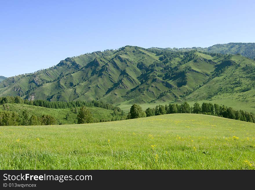 Mountains with green forest on blue sky. Mountains with green forest on blue sky