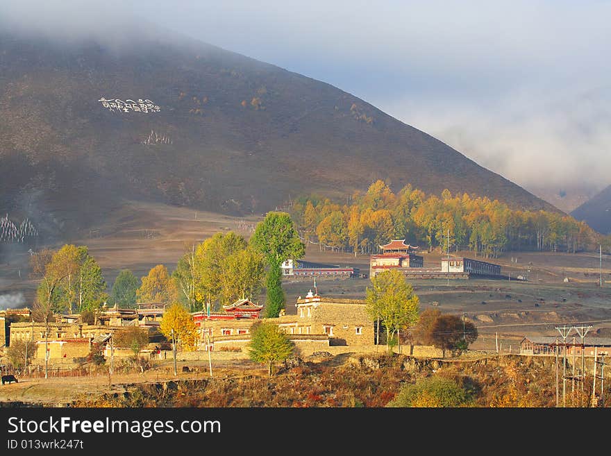 Tibet altiplano