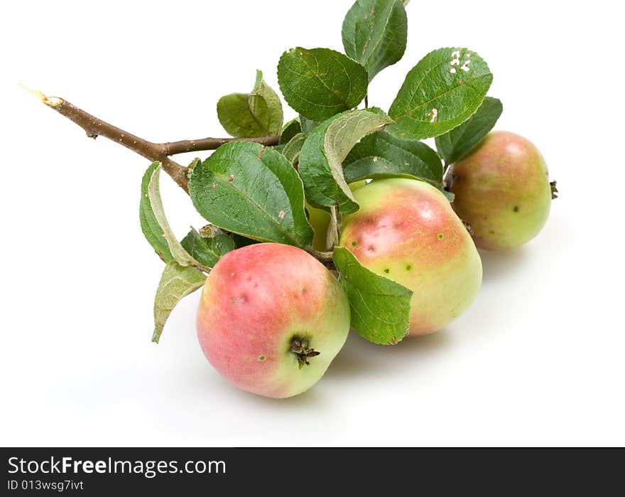 Fresh apple on a white background