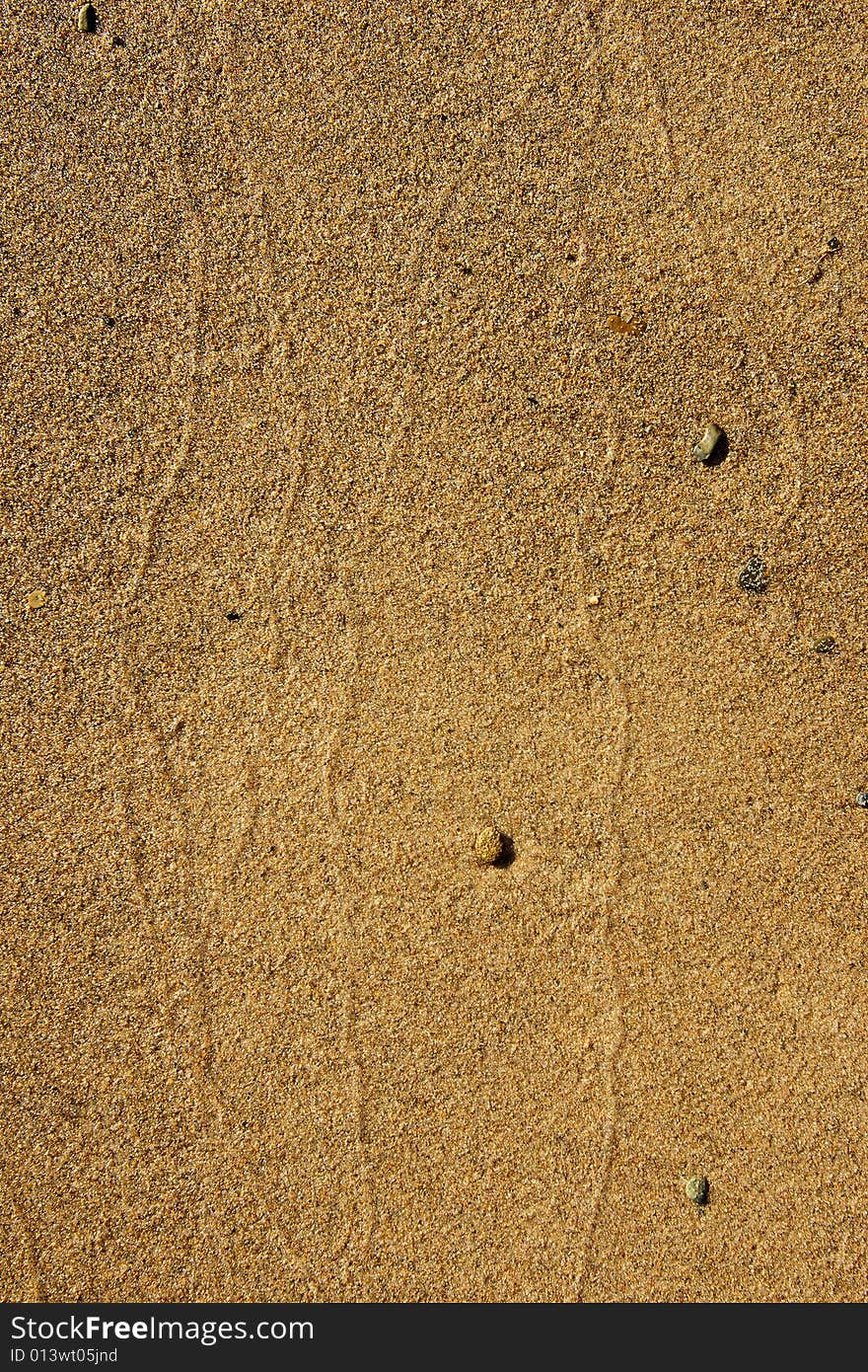 Wet send background on the beach