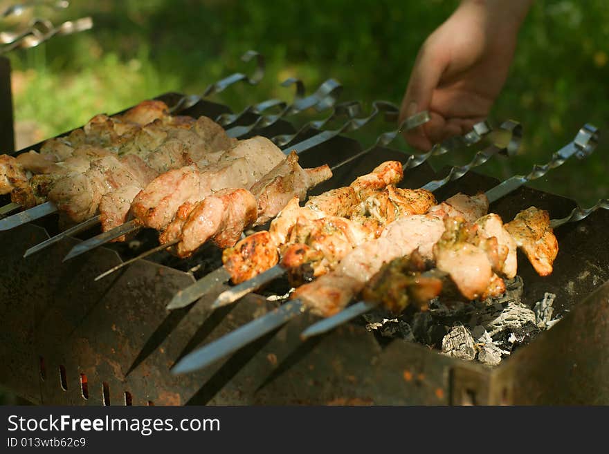 Shashlik at nature