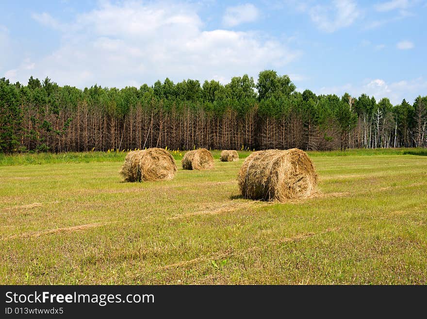 Field with haystacks