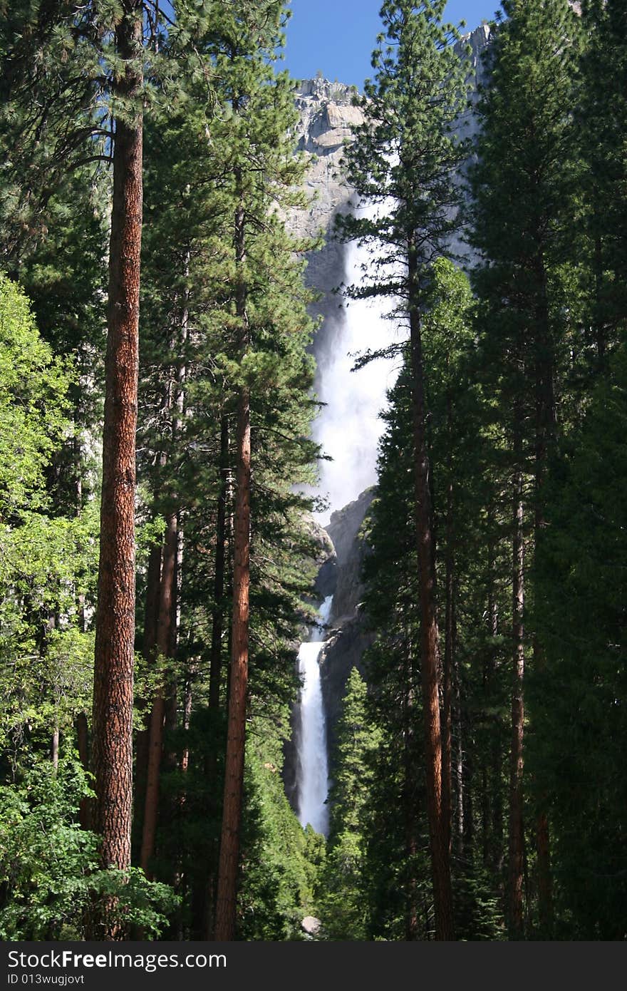 View across the forest on Yosemite falls. Yosemite national park. California. USA. View across the forest on Yosemite falls. Yosemite national park. California. USA