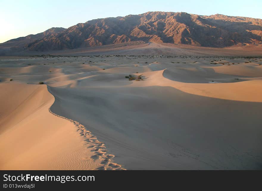 Late afternoon at Stovepipe Wells. Sand dunes. Death Valley national park. California. USA