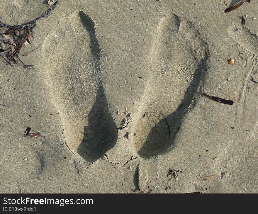 I stepped on the soft sand and here is the result. I stepped on the soft sand and here is the result...