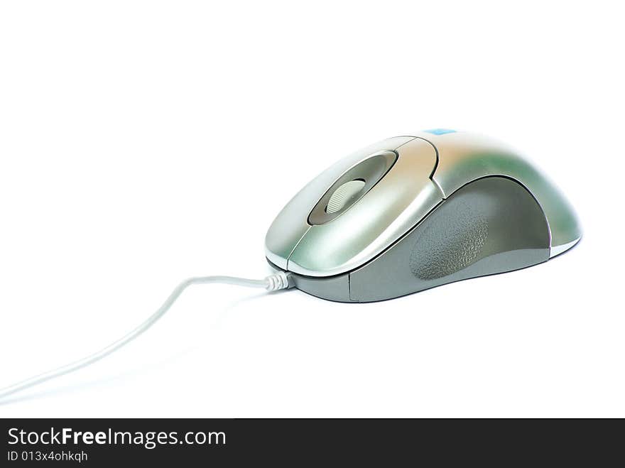 Computer Mouse