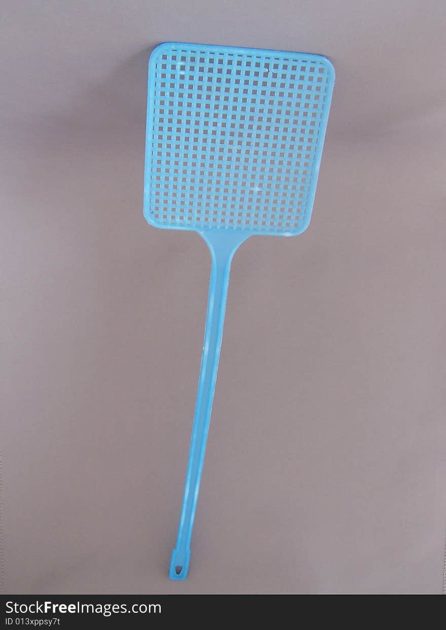 Blue Fly Swatter