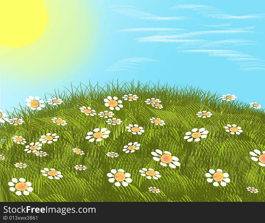 Summer background with white flowers. Illustration.