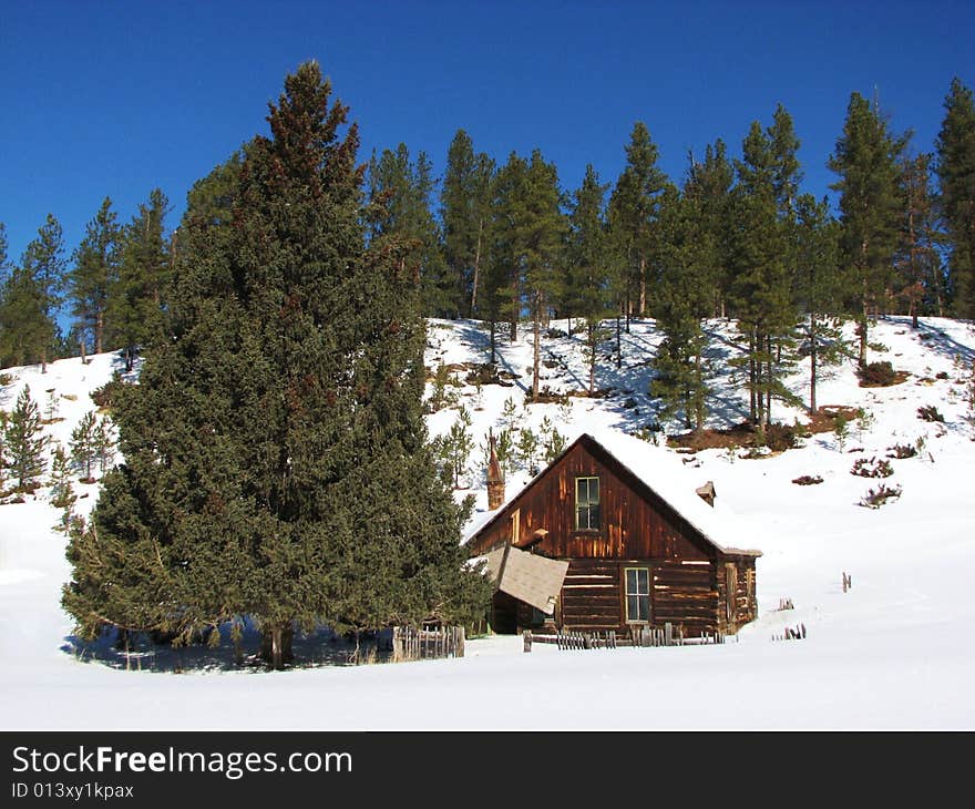 Taken In The Black Hills Of South Dakota. Taken In The Black Hills Of South Dakota