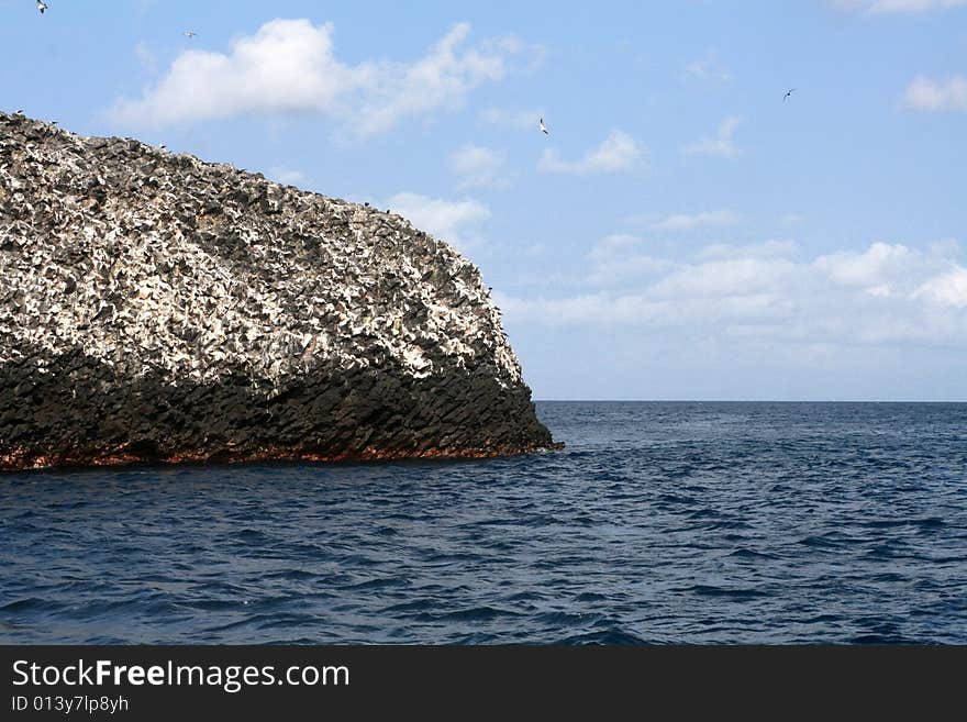 White rocks in the ocean