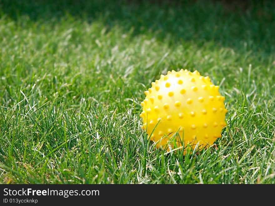 Yellow ball in green grass. Yellow ball in green grass