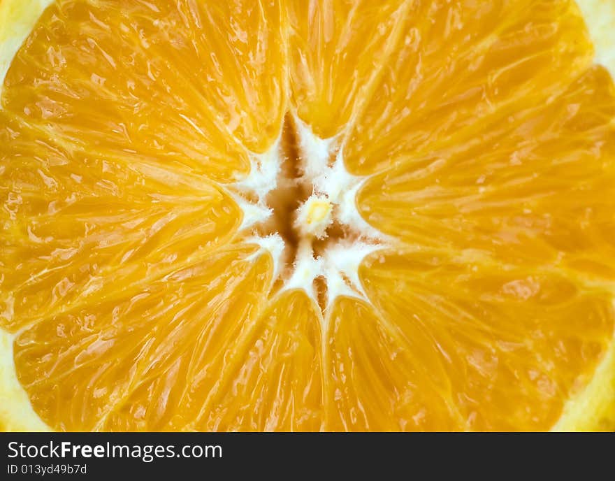 Half Orange Close Up Macro