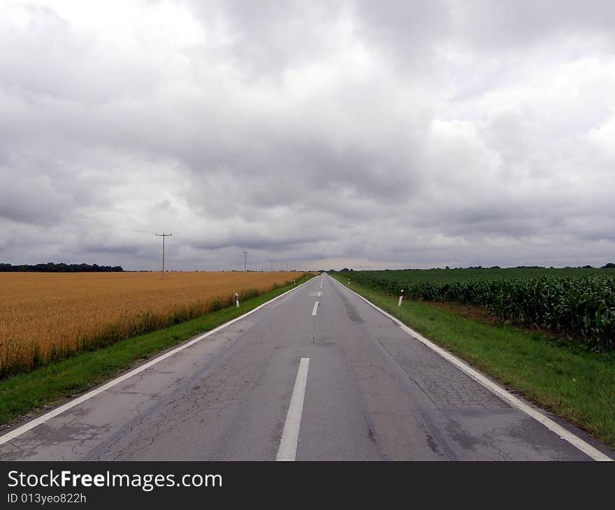 Road across wheat fields