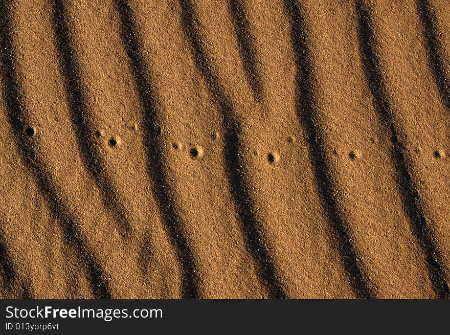 Desert sand with insect footprints