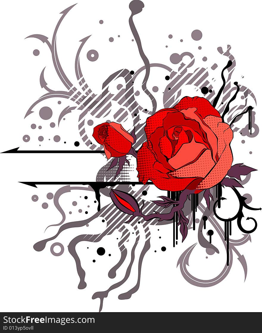 Red rose