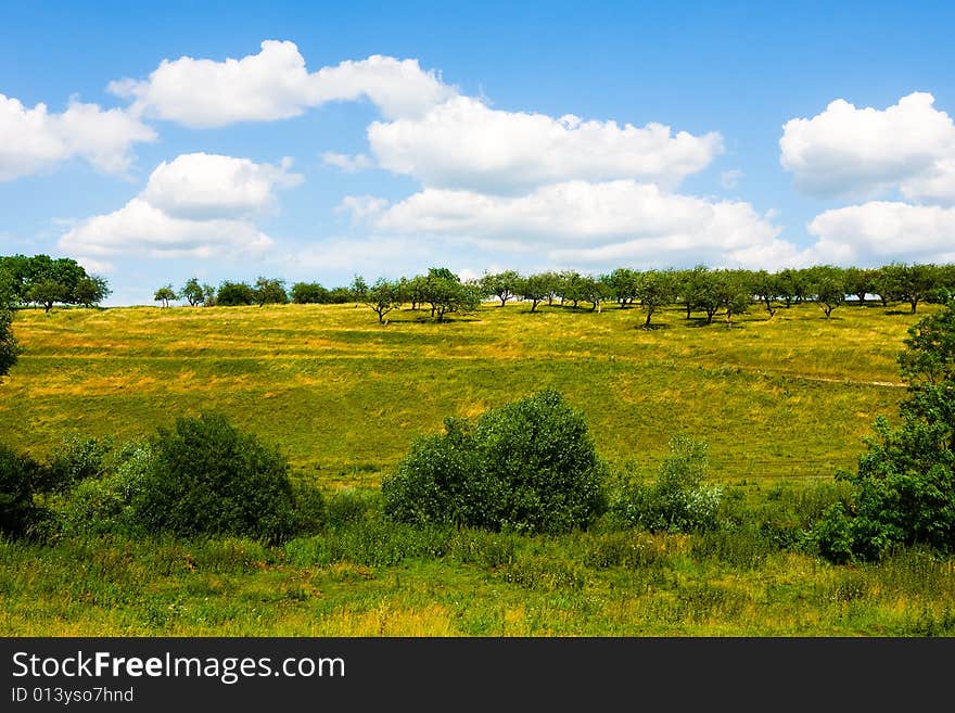 Grassland and cloudy sky