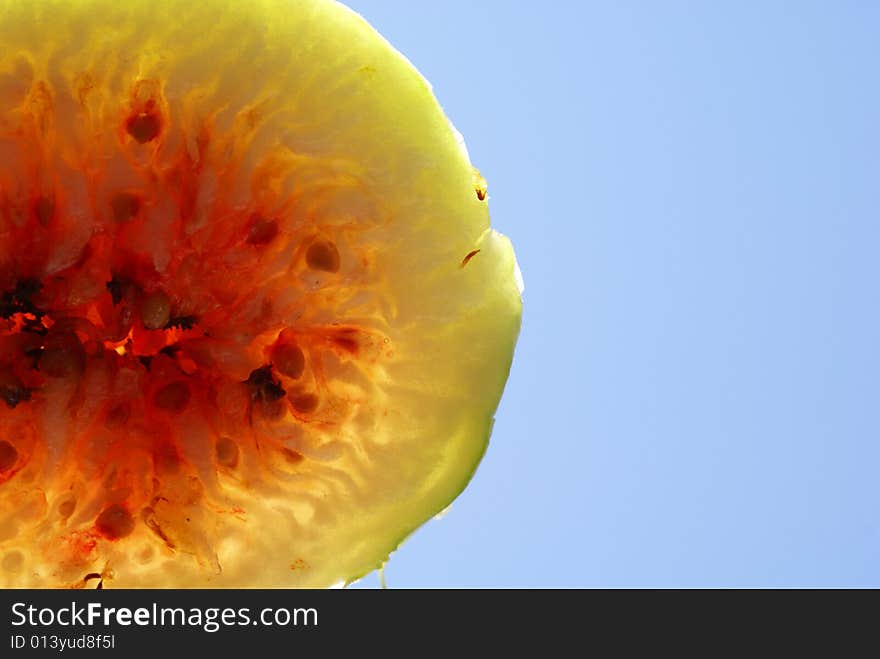 Fresh fig isolated close-up