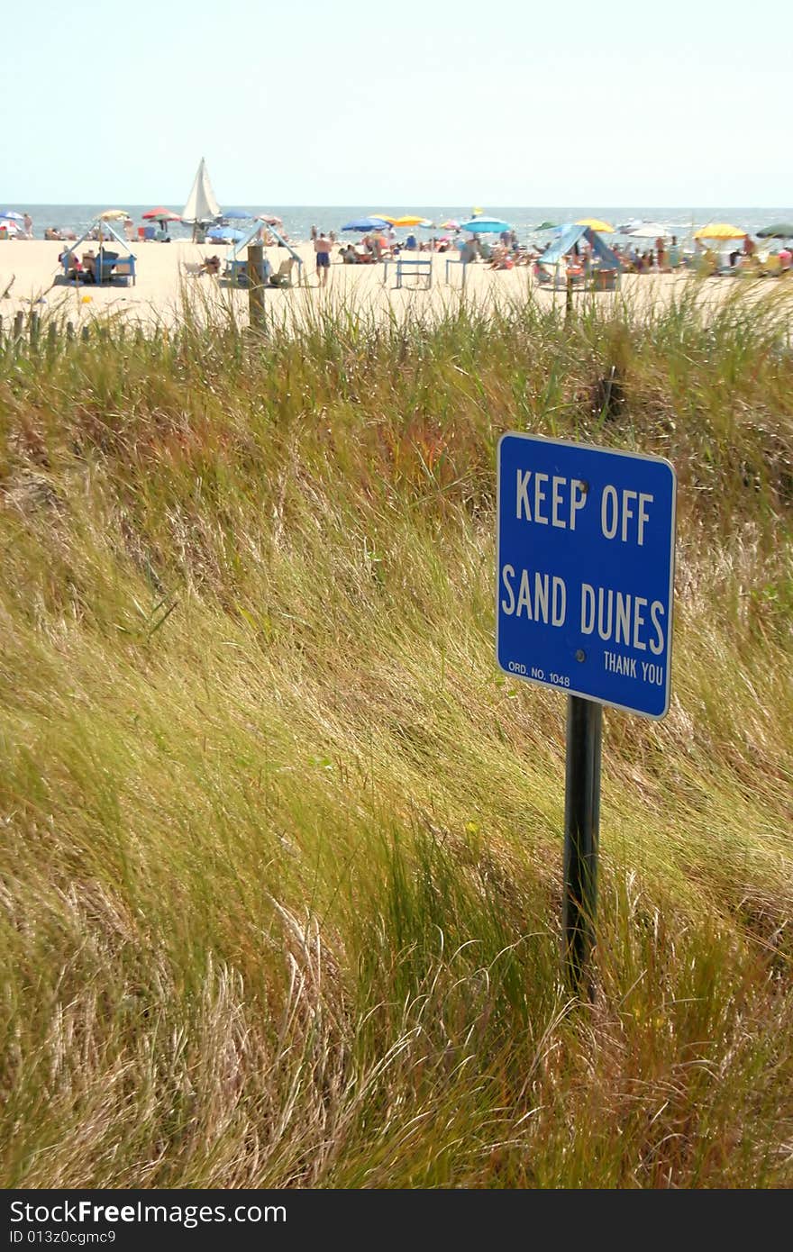 A blue sign reading keep off sand dunes stuck into a sand dune covered with windswept marram grass, with a crowded beach, sailboat, and ocean in the background . A blue sign reading keep off sand dunes stuck into a sand dune covered with windswept marram grass, with a crowded beach, sailboat, and ocean in the background