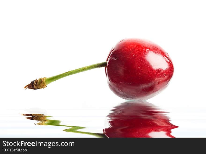 Red berry closeup