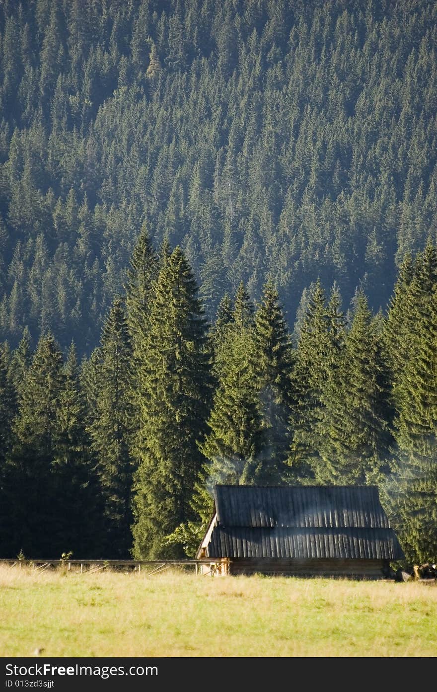 Wooden cottage