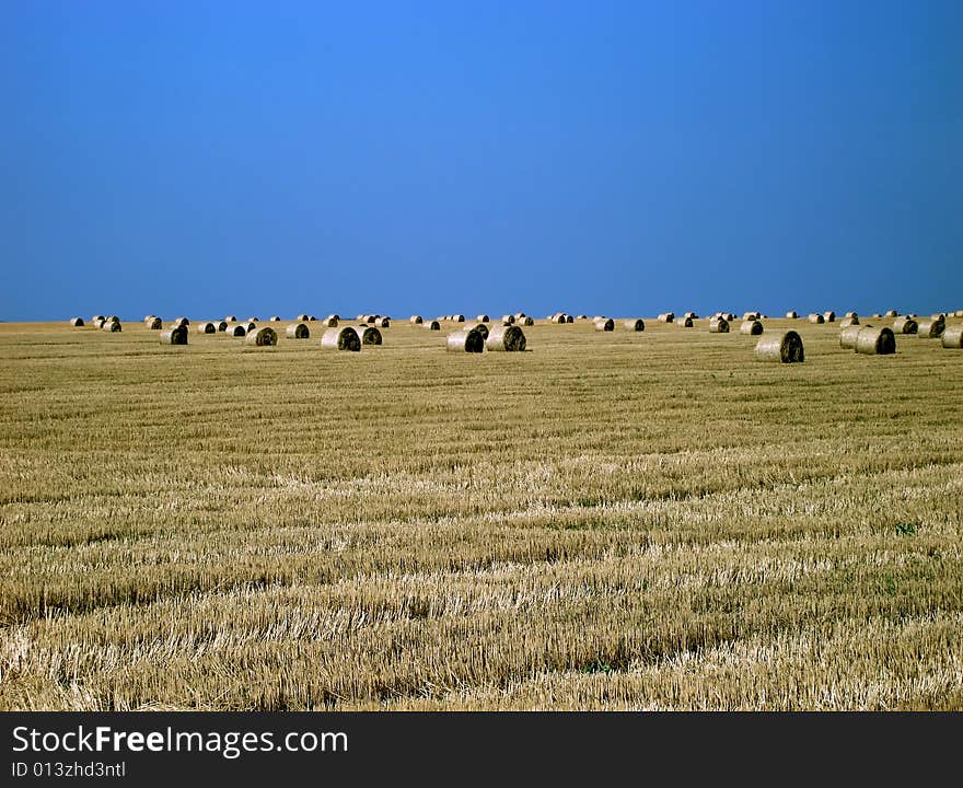 Harvested Rolls of Straw. 1. Harvested Rolls of Straw. 1