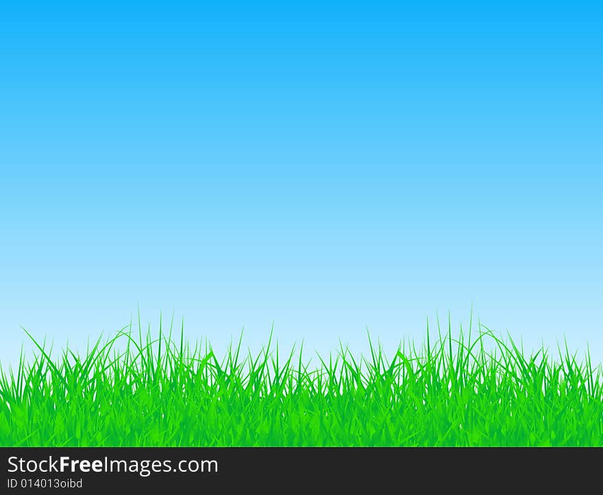 Illustration of grass and sky. Illustration of grass and sky