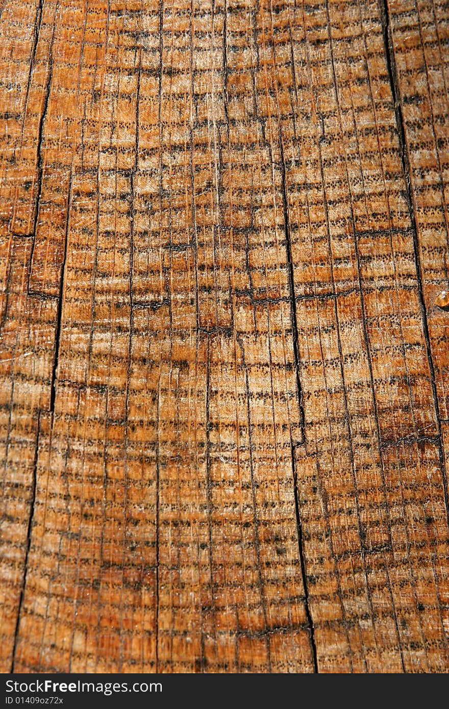 Wooden texture close up as background