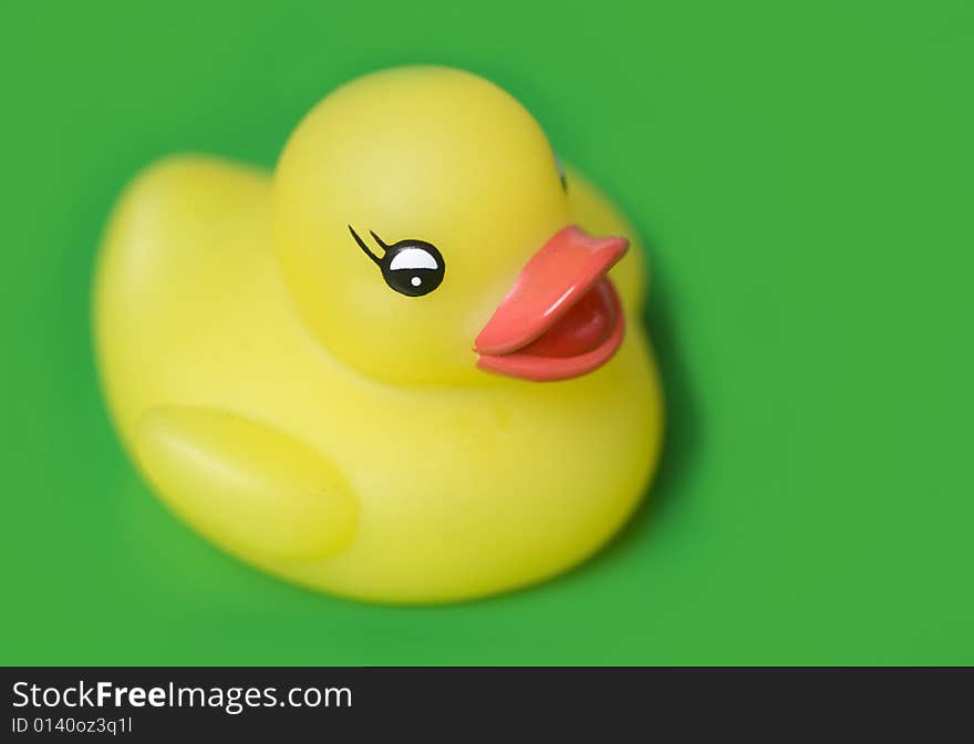 Classic Yellow plastic duck set against green background