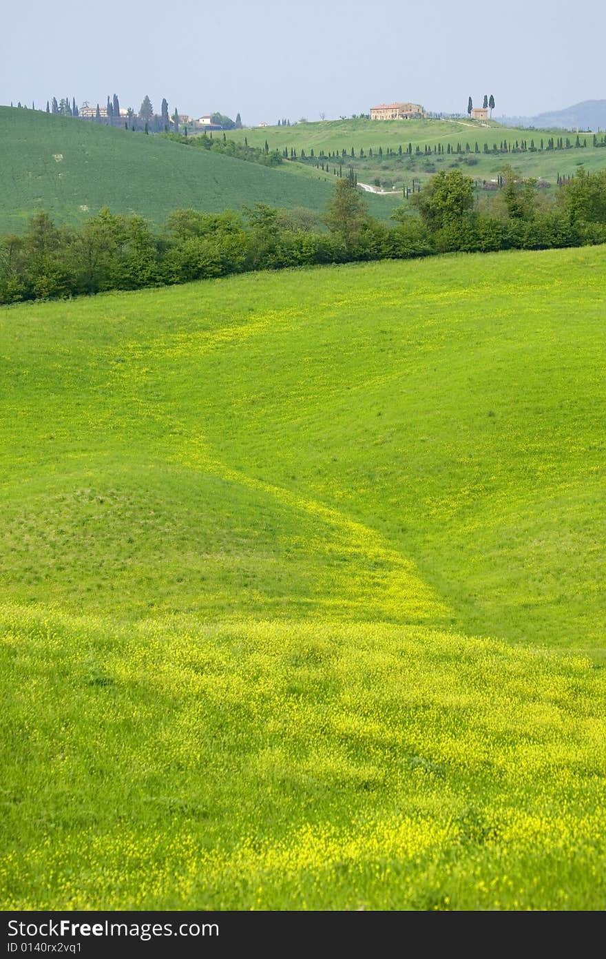 Vally in tuscany landscape on summer