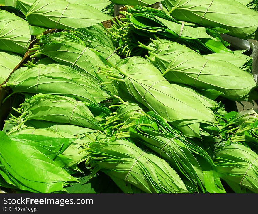 Beetlenut Leaves