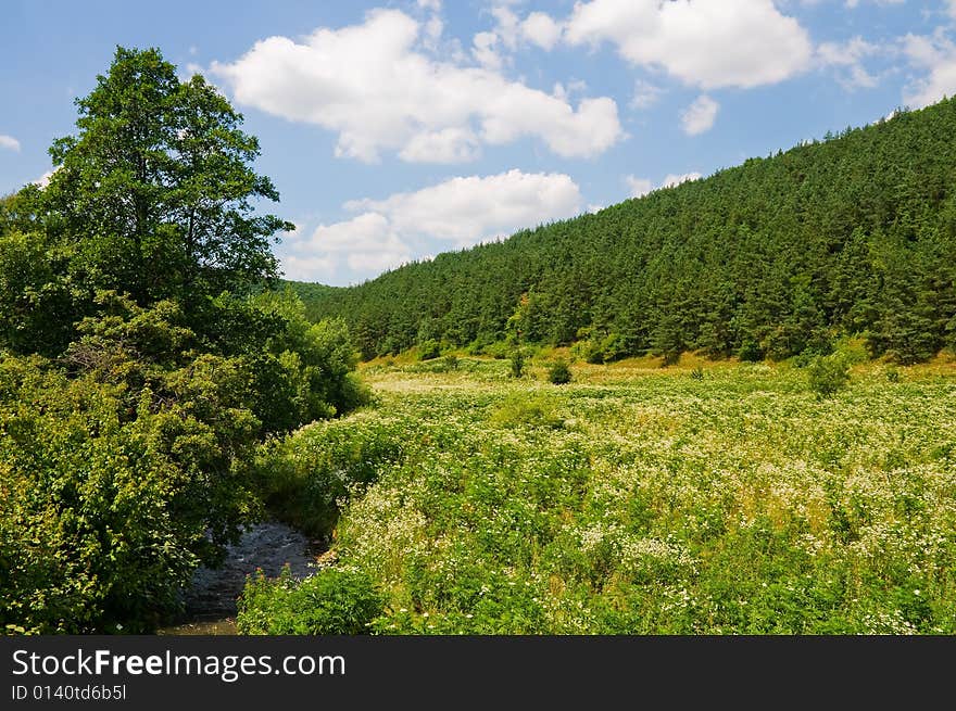 Countryside In Ukraine