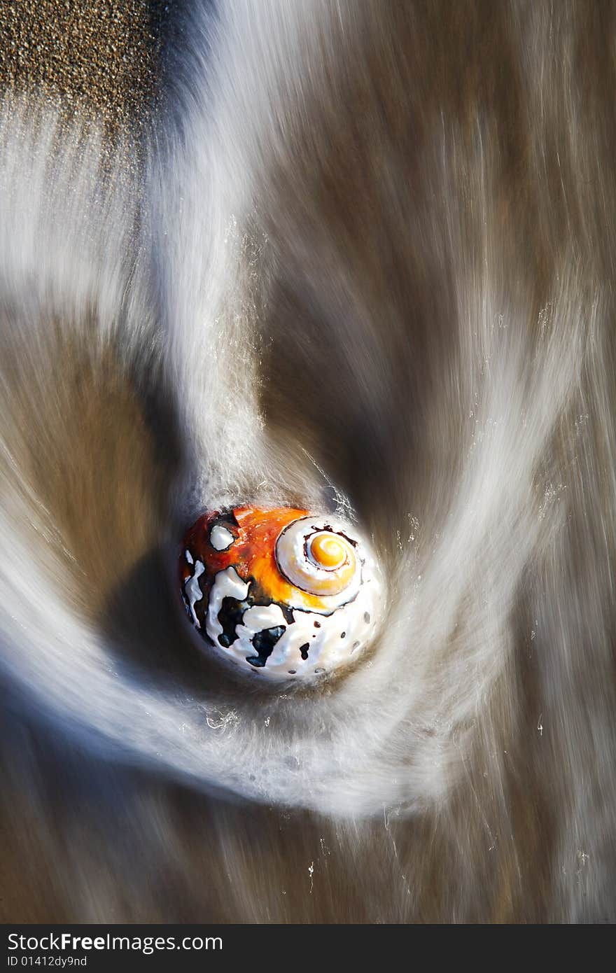 Colourful seashell on a tropical beach; blur effect of coming wave.