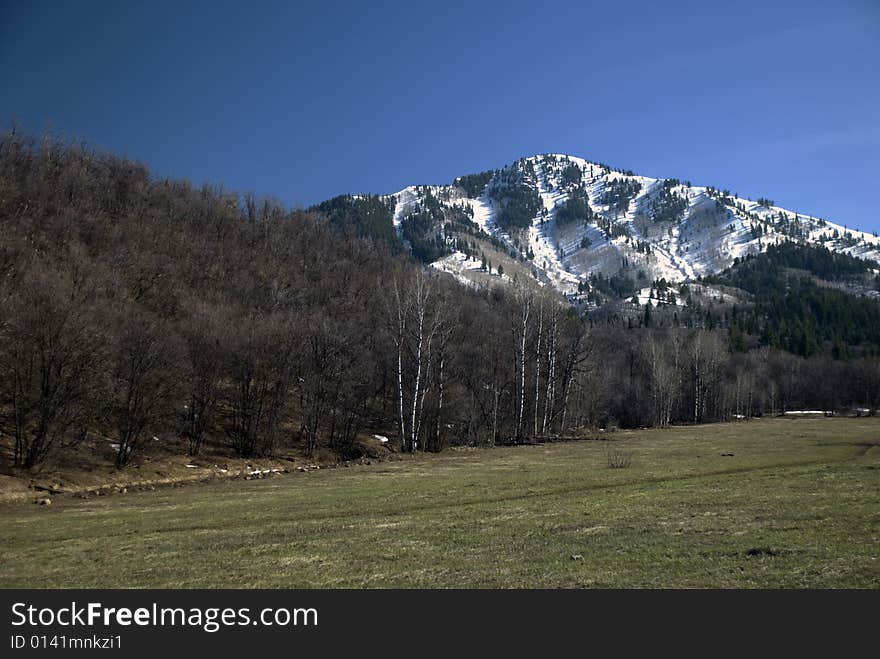 Springtime view from a hiking trail in south fork, provo canyon, utah. Springtime view from a hiking trail in south fork, provo canyon, utah.