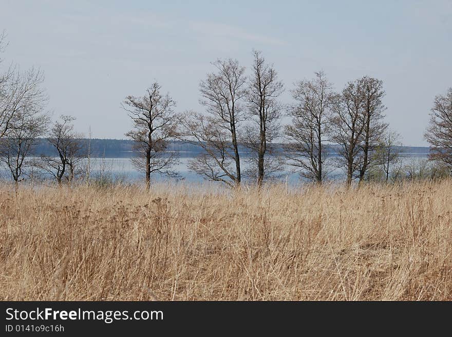 Lake, Could Be Seen Through Trees