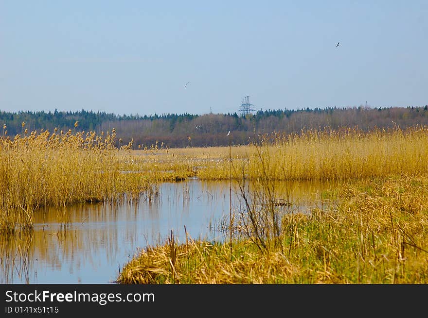 Lake early in spring