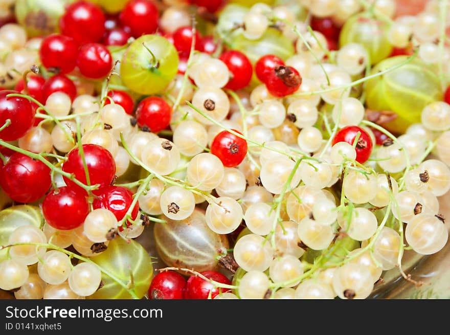 Red and white currants background