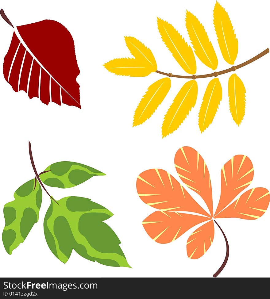 Manycoloured leafs of different trees