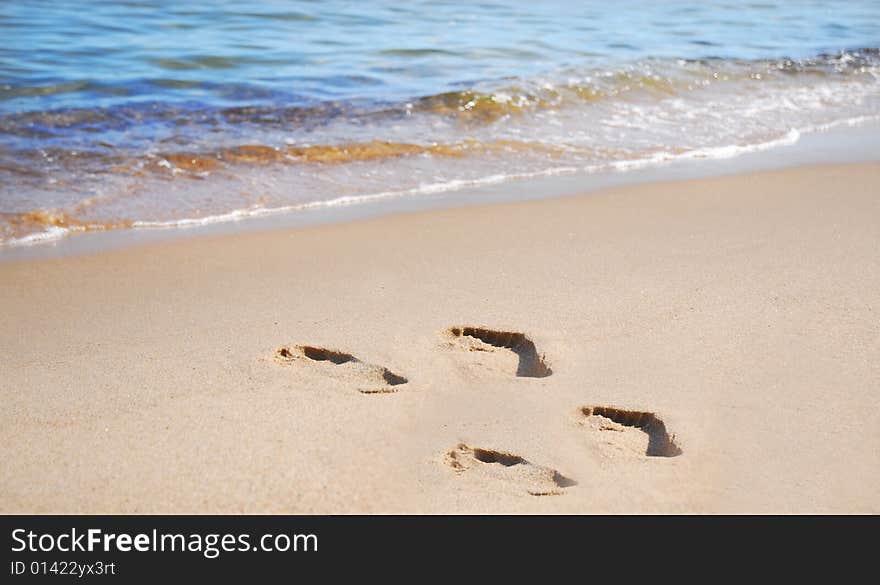 Footsteps On The Beach