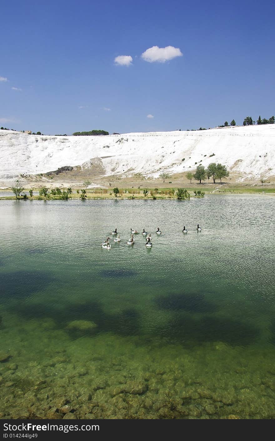 Lake in Pamukkale. Ducks on water.