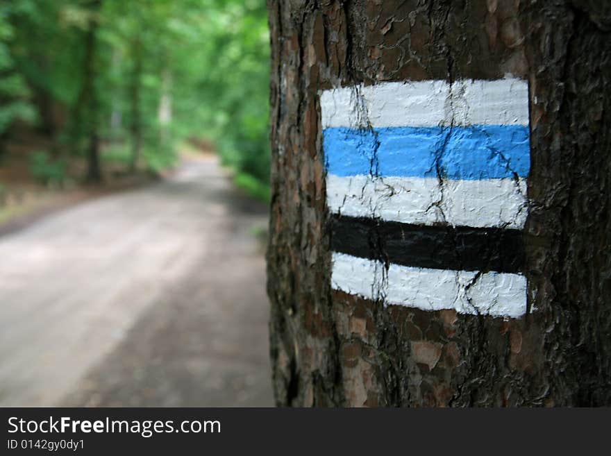 Black and blue hiking trail, sign on tree