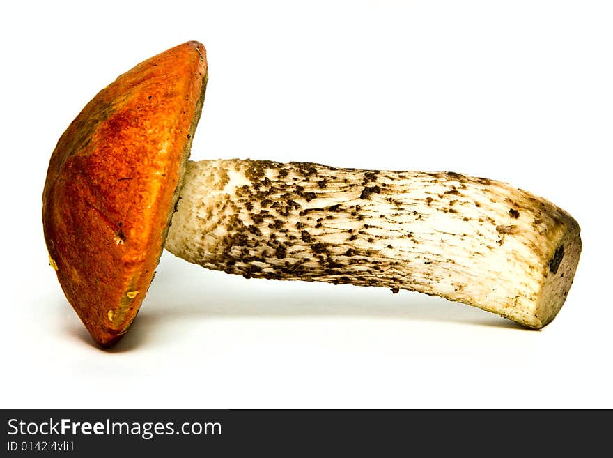 Mushroom isolated over white