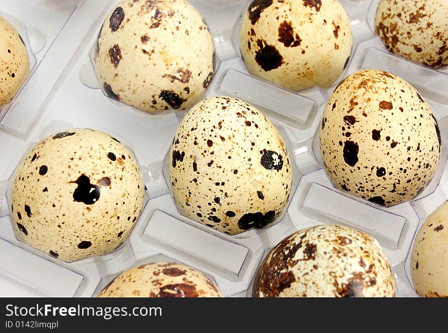 Closeup of pack of quail eggs