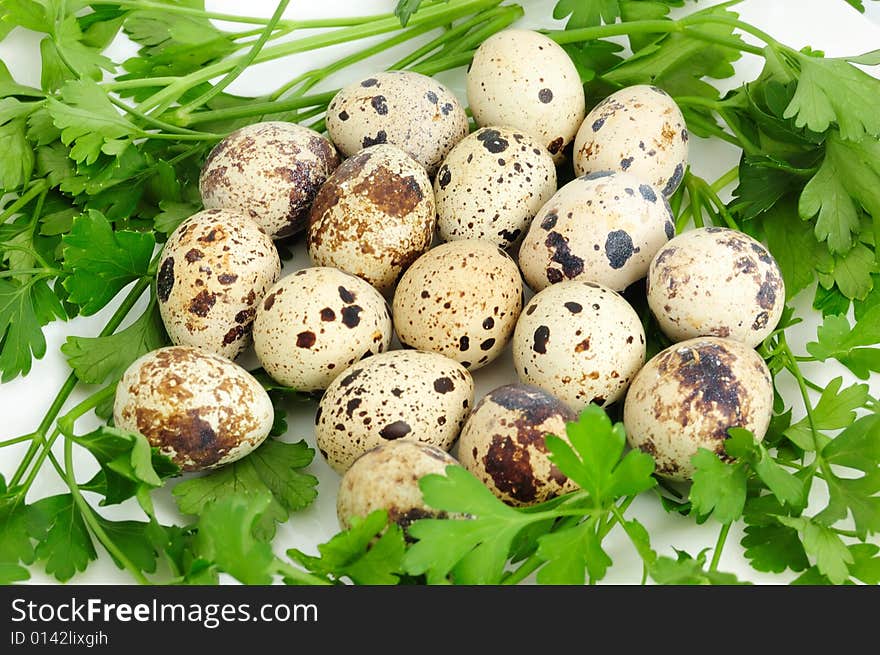 Closeup of set of quail eggs