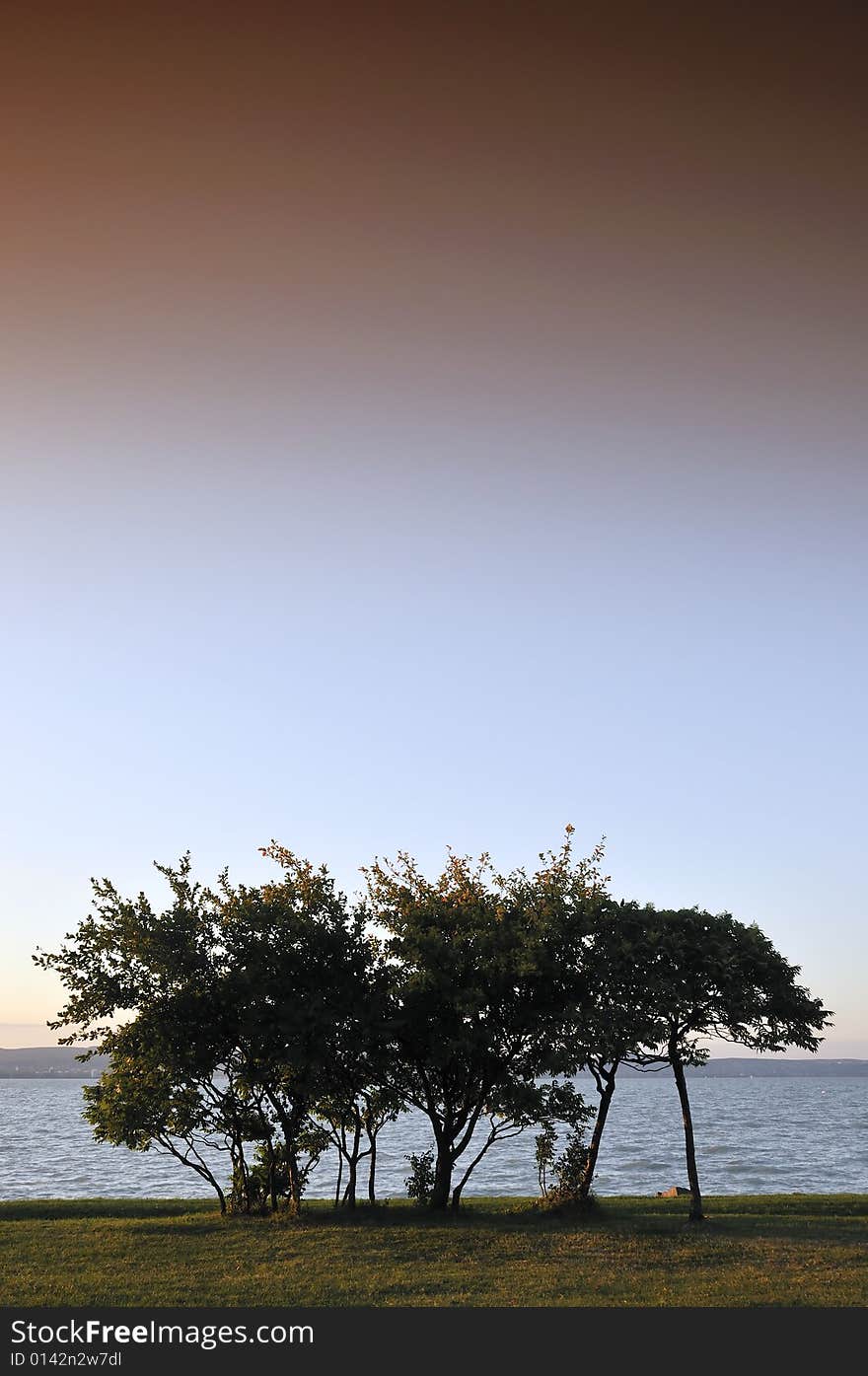 Lake Balaton at sunset with trees in foreground