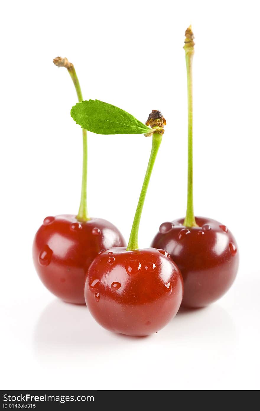 Ripe Three Cherries